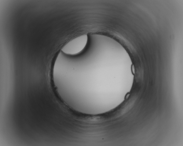 X0000102410497200808011019