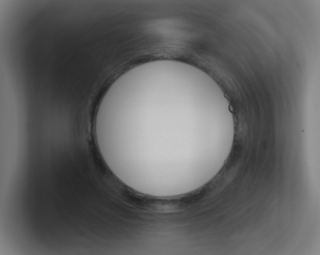 X0000102410502200808011019