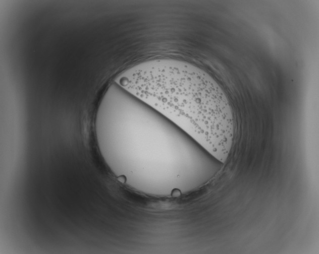 X0000102410503200808011019