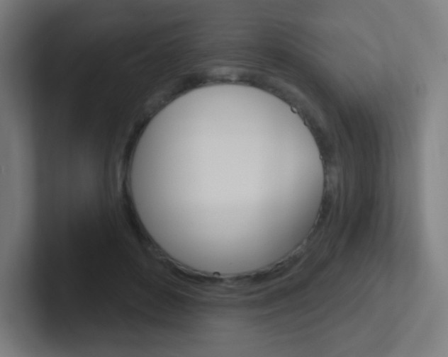 X0000102410504200808011019