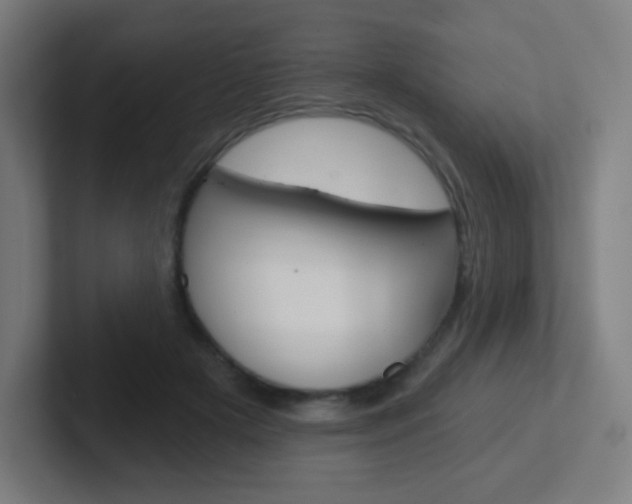 X0000102410505200808011019