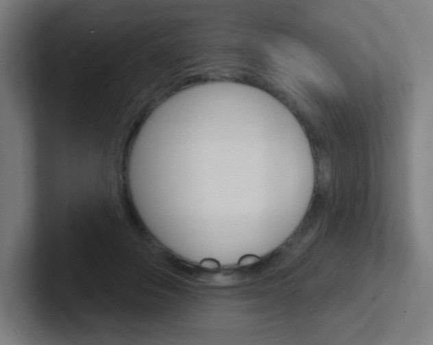 X0000102410506200808011019
