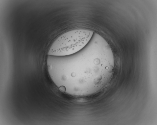 X0000102410507200808011019