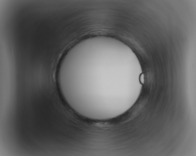 X0000102410508200808011019