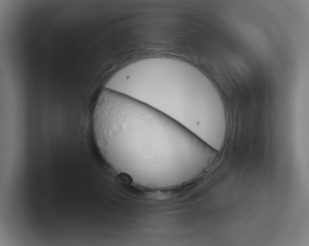 X0000102410511200808011019