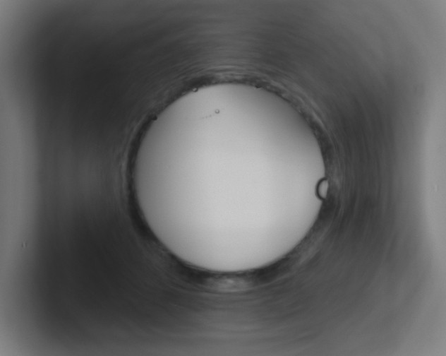 X0000102410512200808011019