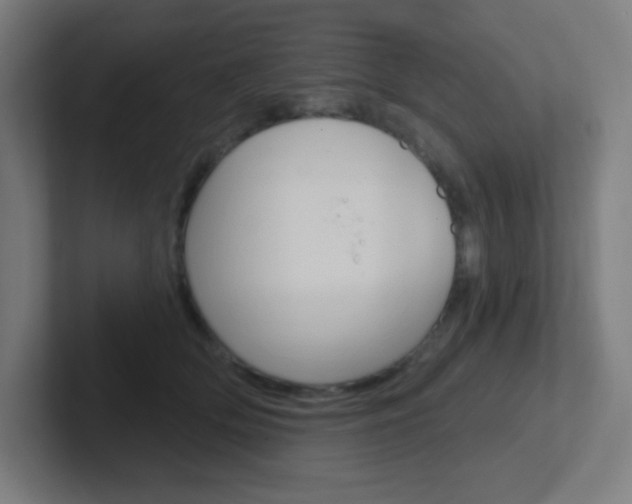 X0000102410514200808011019