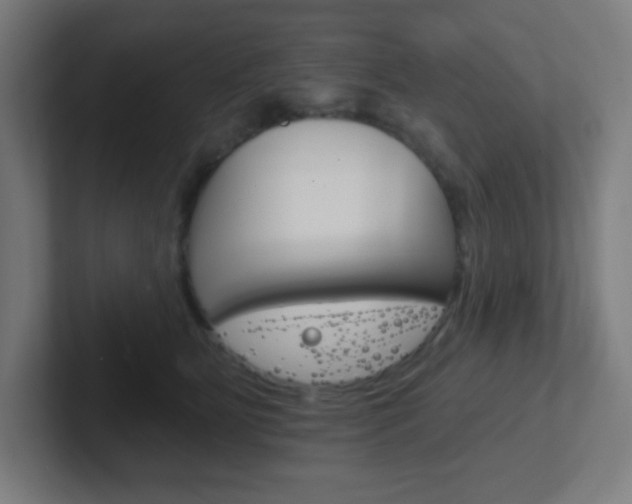 X0000102410515200808011019