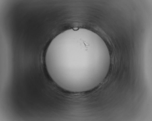 X0000102410516200808011019