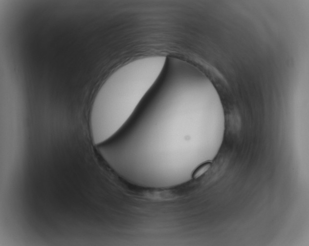 X0000102410517200808011019