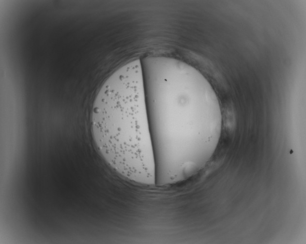 X0000102410519200808011019