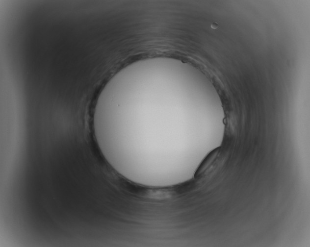 X0000102410520200808011019