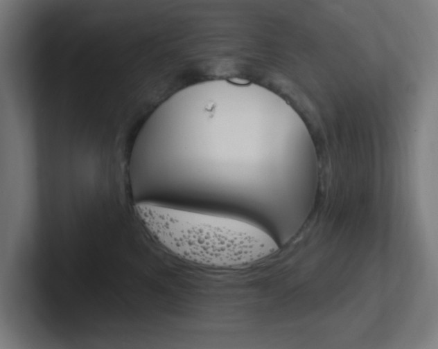 X0000102410521200808011019