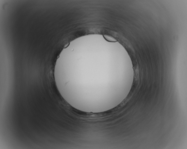 X0000102410522200808011019