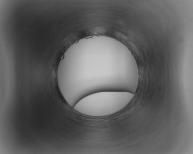 X0000102410523200808011019