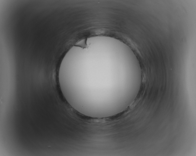 X0000102410524200808011019