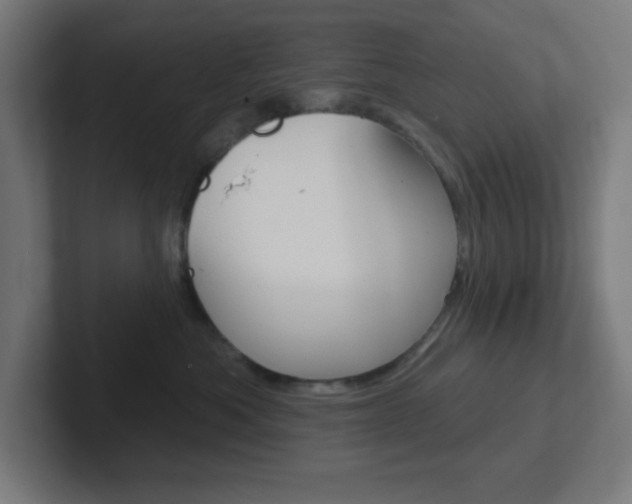 X0000102410525200808011019