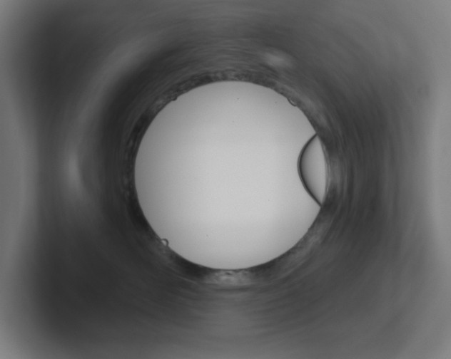 X0000102410526200808011019