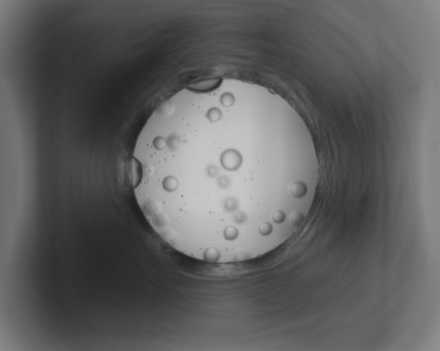 X0000102410527200808011019