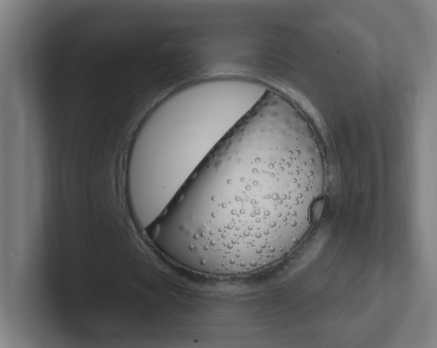 X0000102410529200808011018