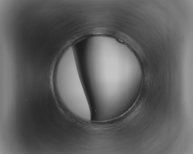 X0000102410530200808011018