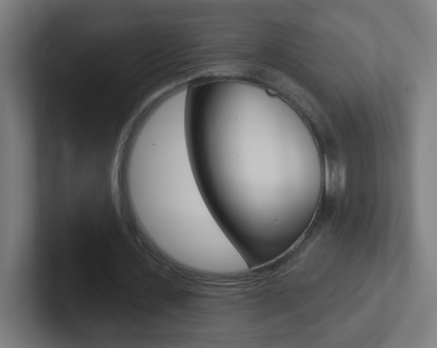 X0000102410531200808011018