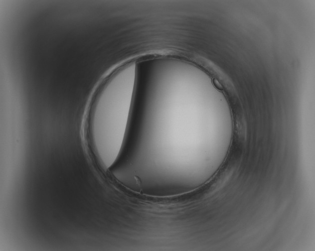 X0000102410532200808011018