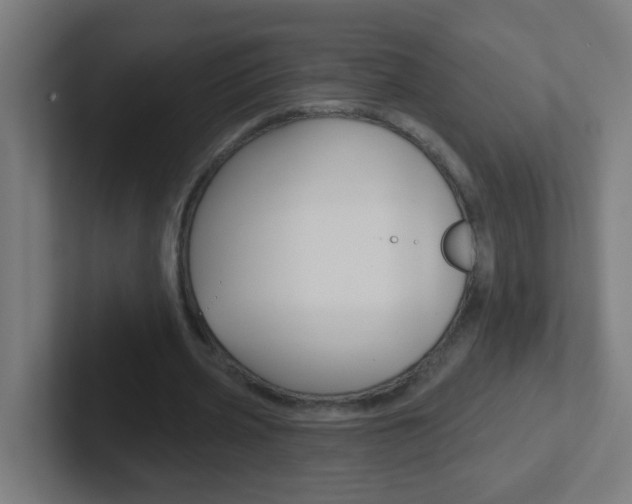 X0000102410533200808011018