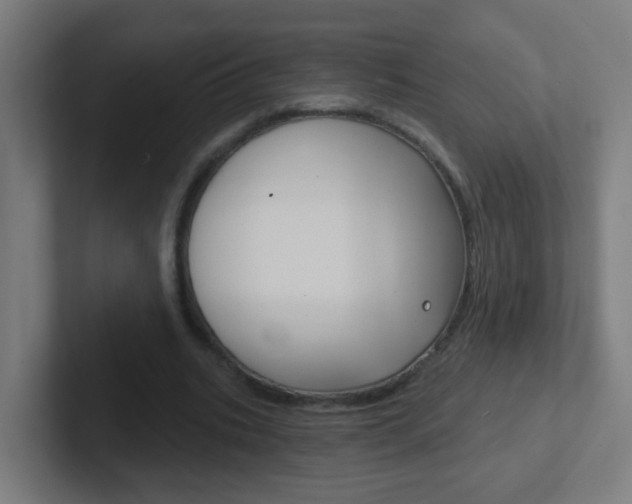 X0000102410535200808011018