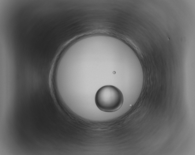 X0000102410536200808011018