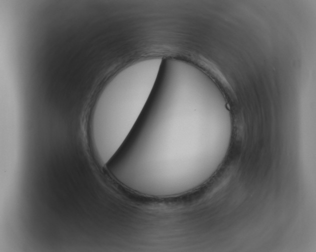 X0000102410538200808011018