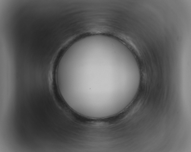 X0000102410539200808011018