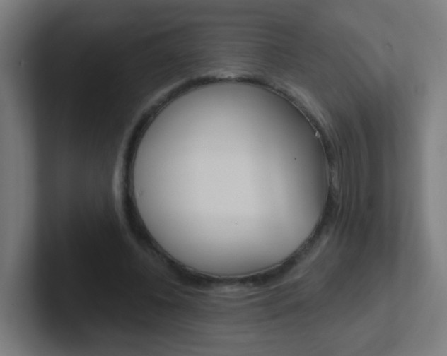 X0000102410540200808011018