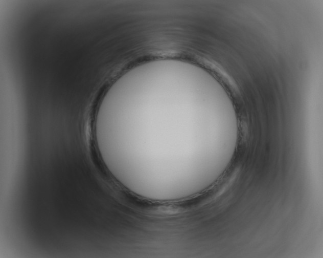 X0000102410541200808011018