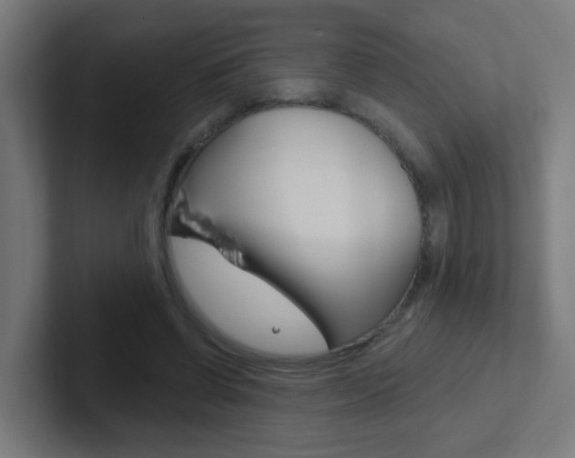 X0000102410542200808011018