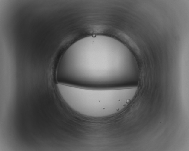 X0000102410543200808011018