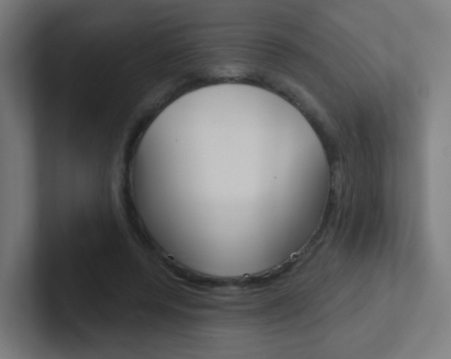 X0000102410544200808011018