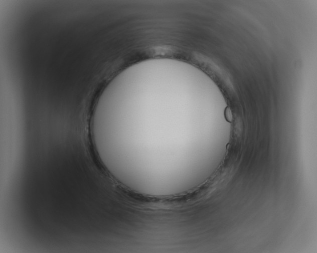 X0000102410545200808011018