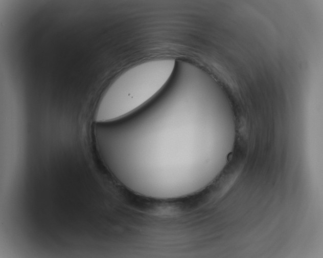 X0000102410547200808011018