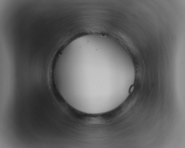 X0000102410548200808011018