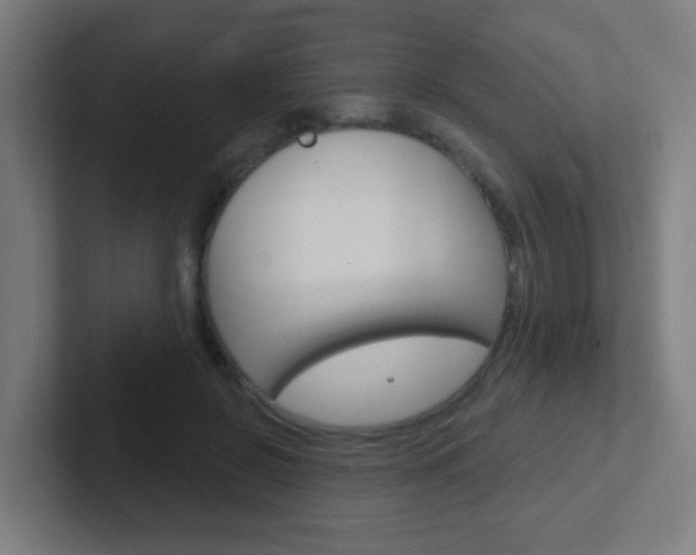 X0000102410550200808011018