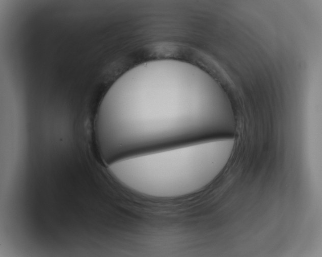 X0000102410551200808011018