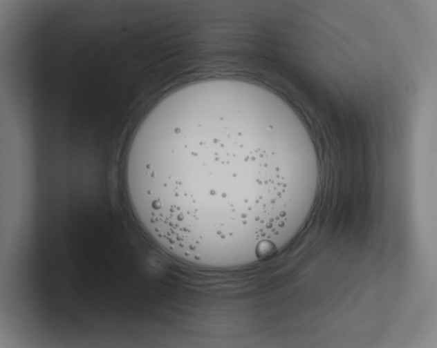 X0000102410552200808011018