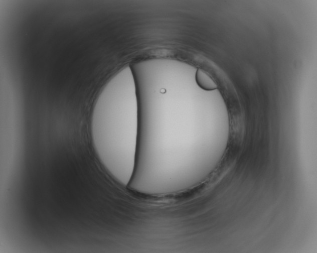 X0000102410553200808011018