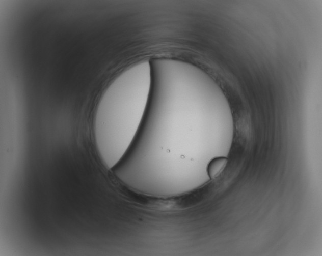 X0000102410554200808011018