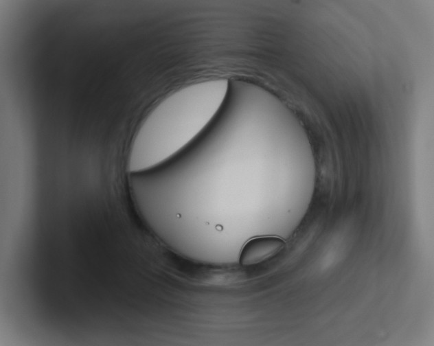 X0000102410555200808011018