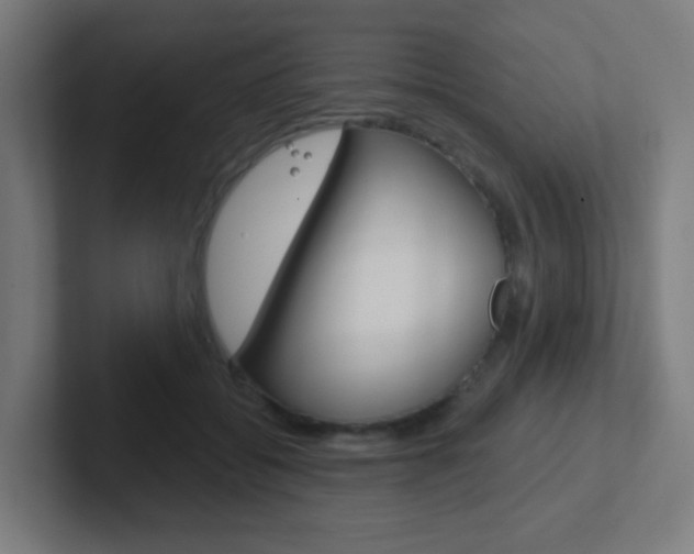 X0000102410556200808011018