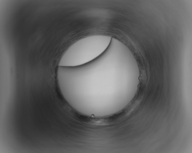 X0000102410557200808011018