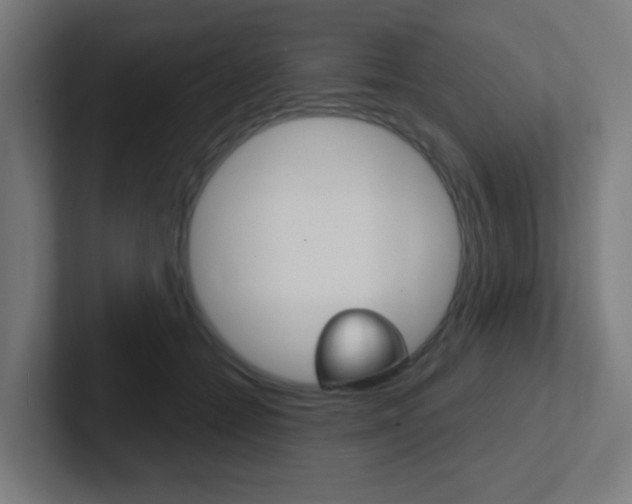 X0000102410558200808011018