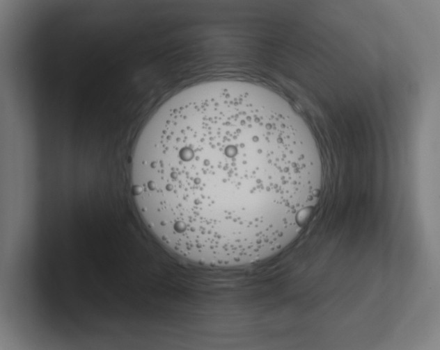X0000102410560200808011018